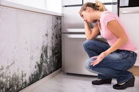 Why You Should Choose Our Mold Remediation Services in Lusby, MD